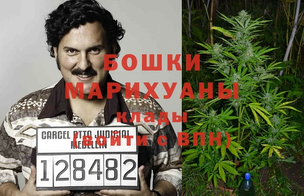 PSILOCYBIN Краснослободск